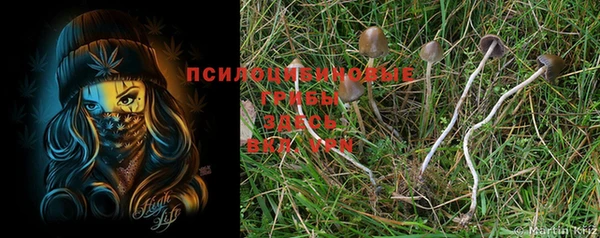 молекула духа Алзамай