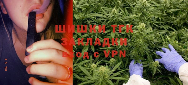 молекула духа Алзамай
