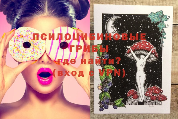 молекула духа Алзамай