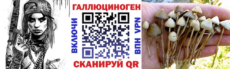 omg ссылки  Усть-Лабинск  Псилоцибиновые грибы Psilocybine cubensis 